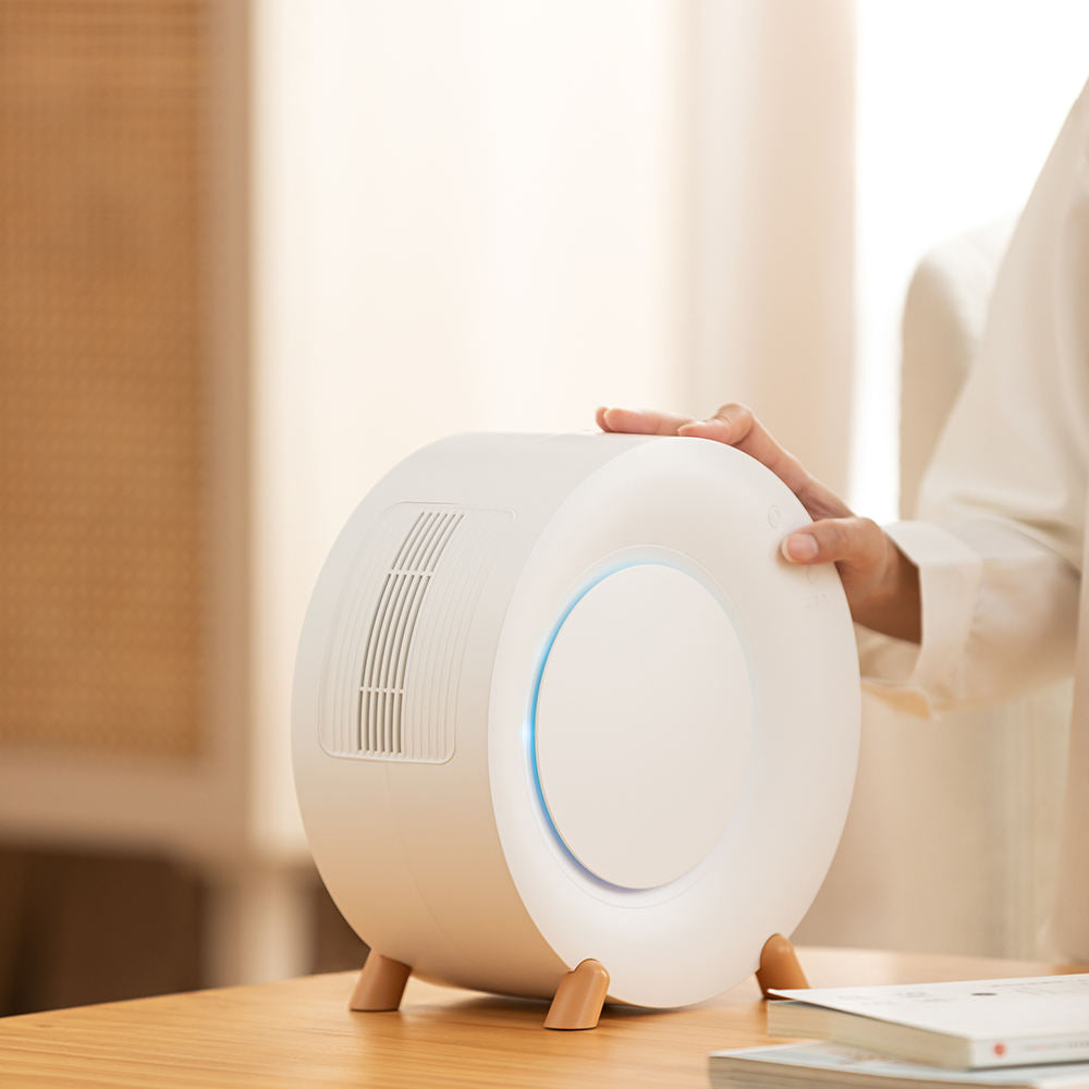 Mini Déshumidificateur d'Air Windser
