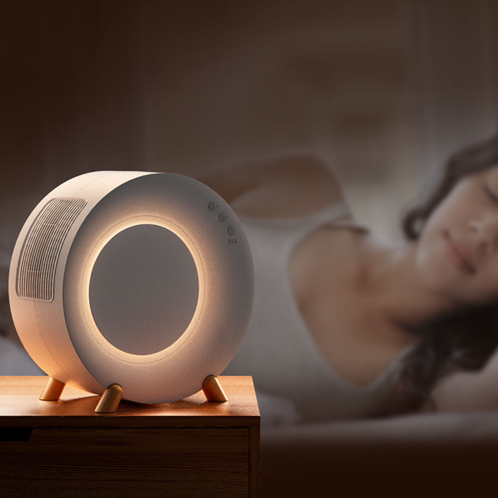 Mini Déshumidificateur d'Air Windser